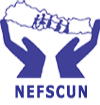 logo-nefscun